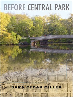 cover image of Before Central Park